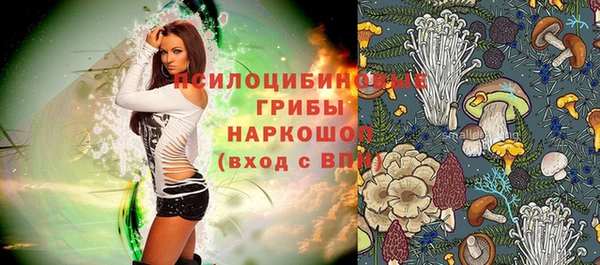 2c-b Каменка