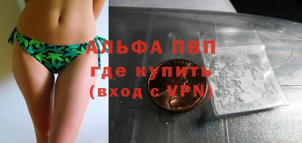 гашик Каменногорск