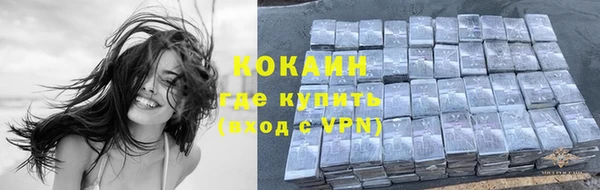 2c-b Каменка