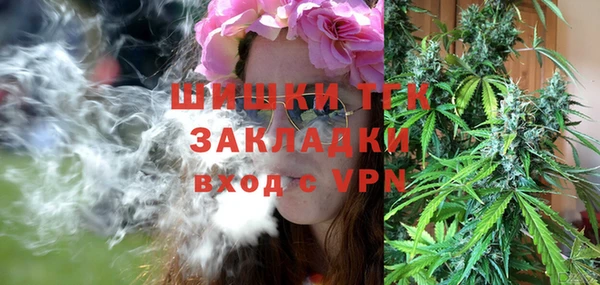 2c-b Каменка