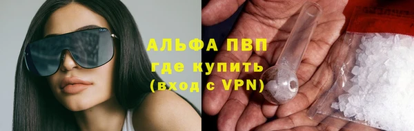 гашик Каменногорск