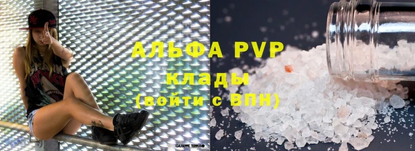 гашик Каменногорск