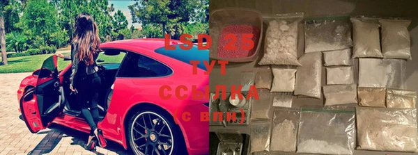 гашик Каменногорск