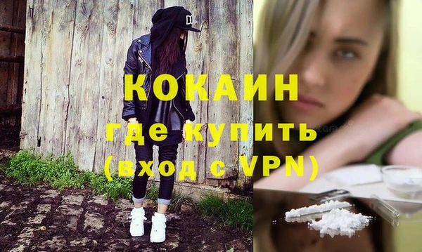 гашик Каменногорск