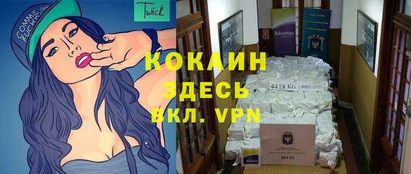 2c-b Каменка