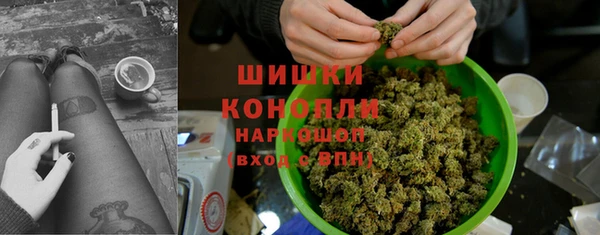 гашик Каменногорск